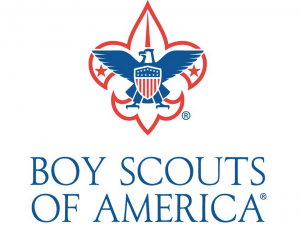 BSA