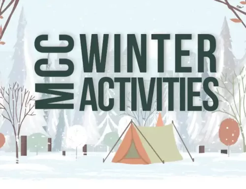 Winter Activities