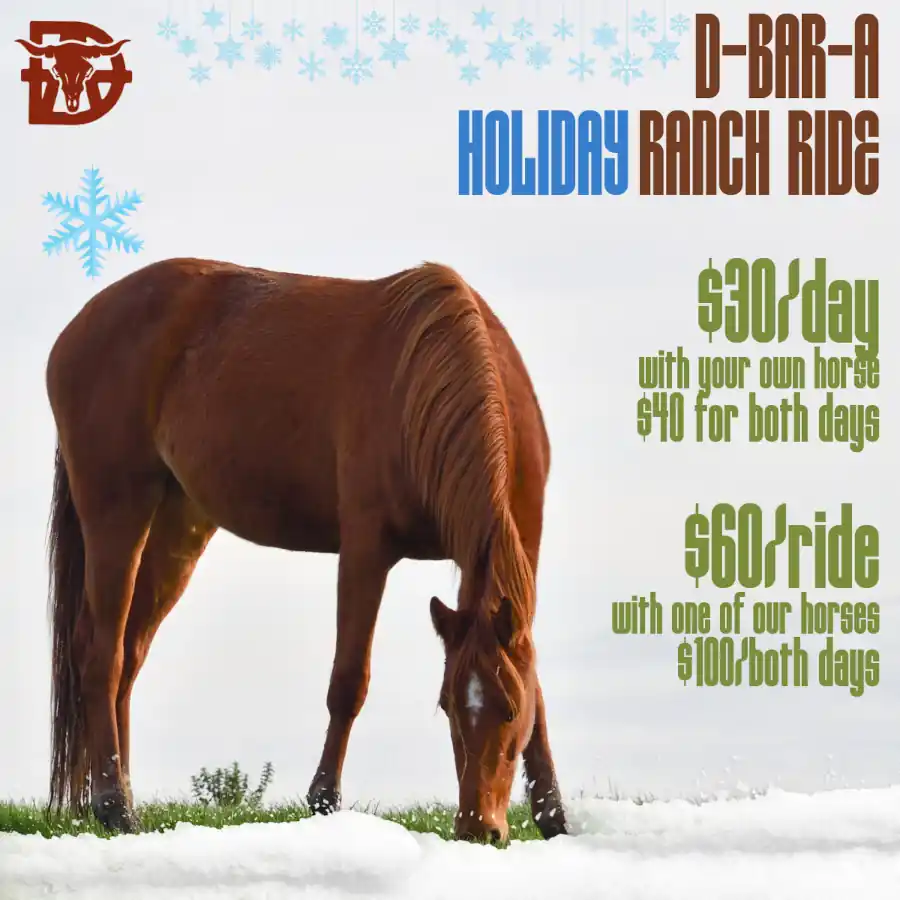 Horseback riding at D-Bar-A Ranch - Holiday Ride