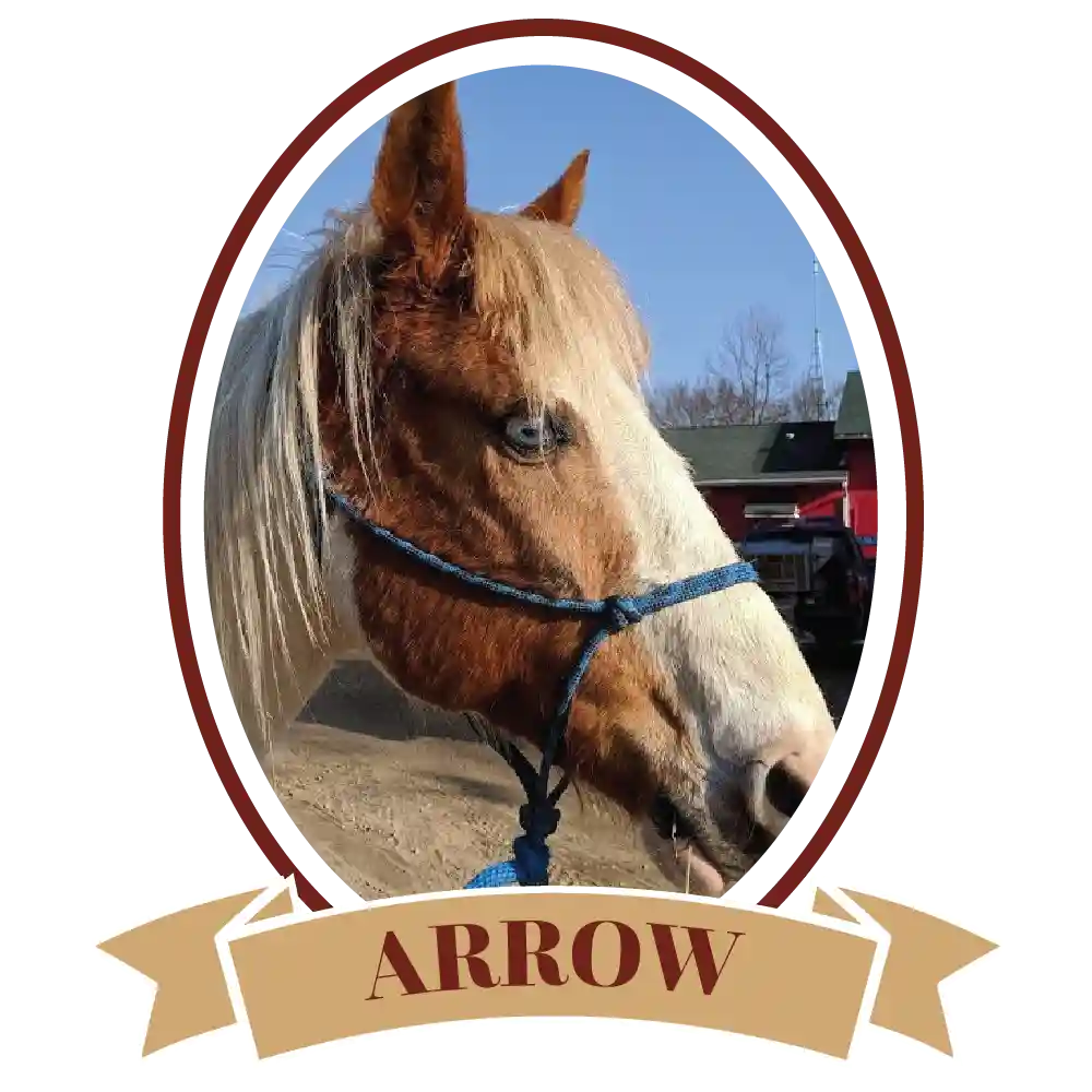 ArrowPlain