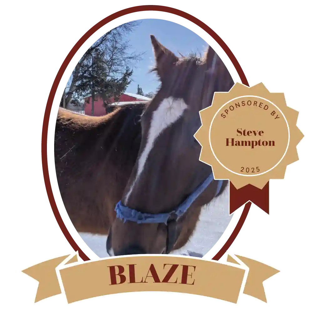 Blaze25