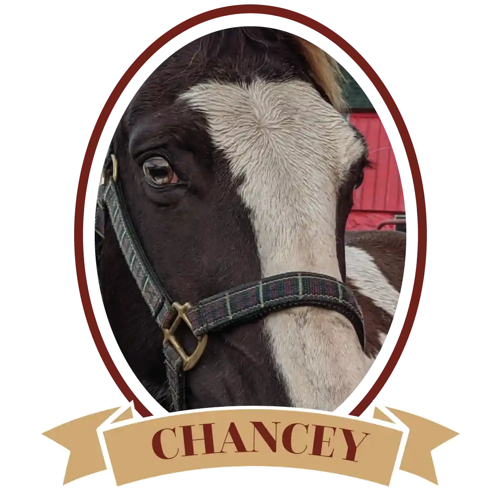 Chancey