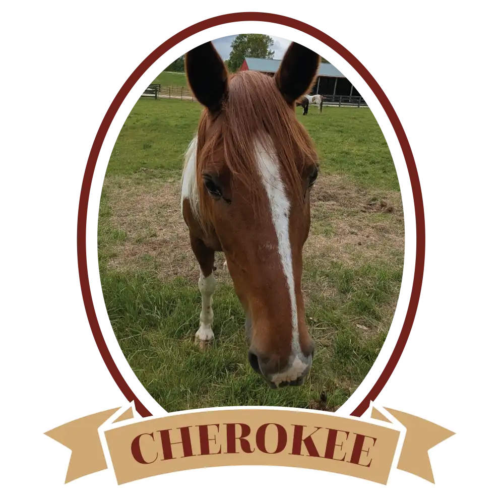 CherokeePlain-01