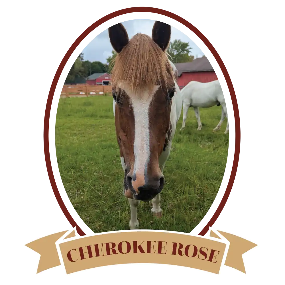 CherokeeRosePlain-01