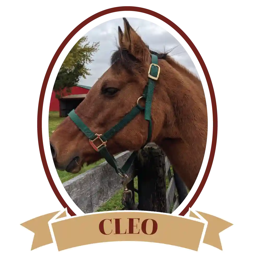 CleoPlain