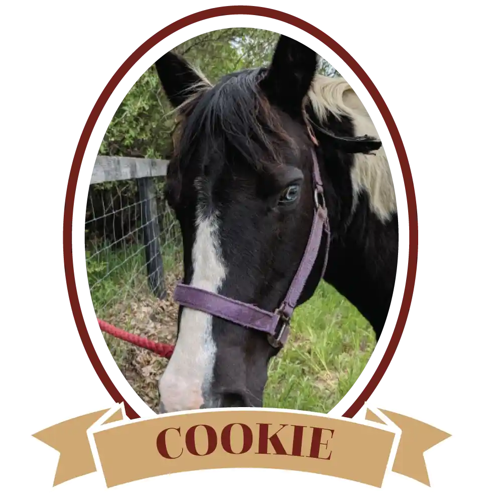 Cookie