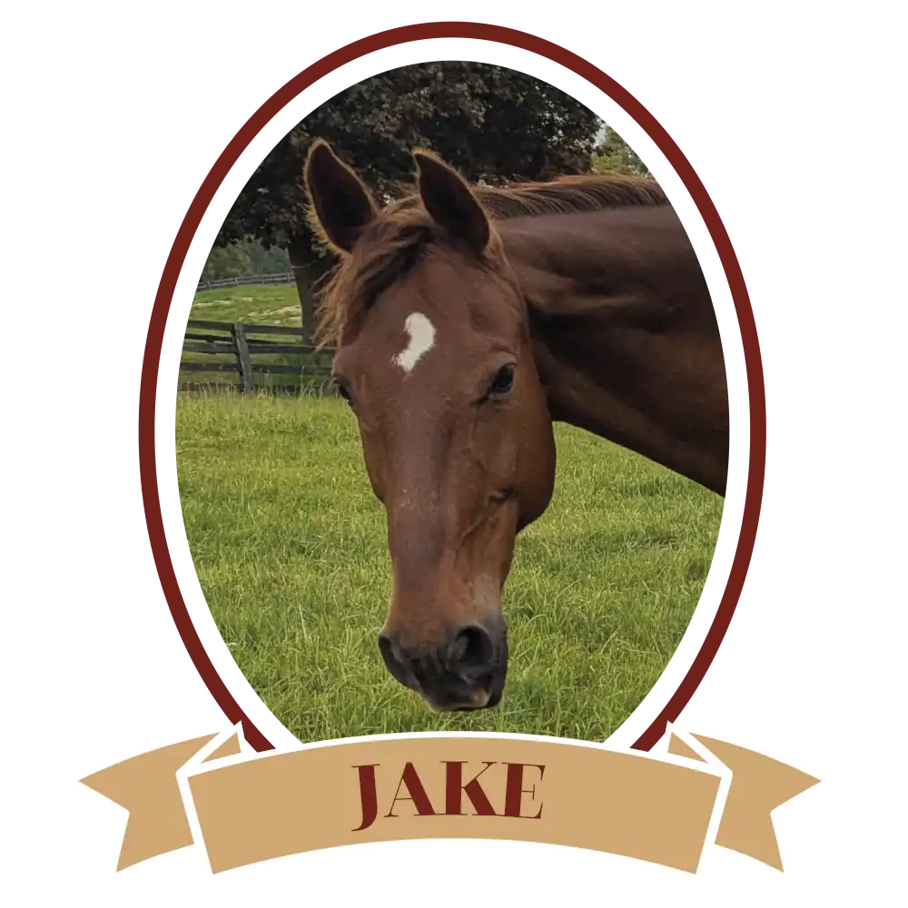 JakePlain-01