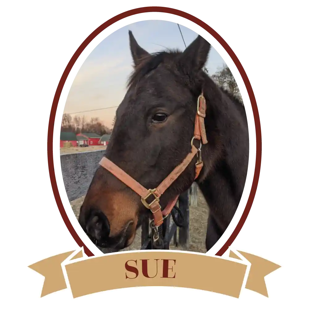 Sue