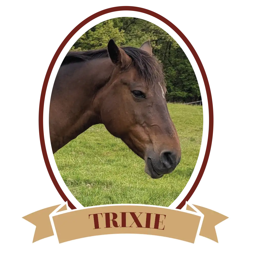 TrixiePlain-01