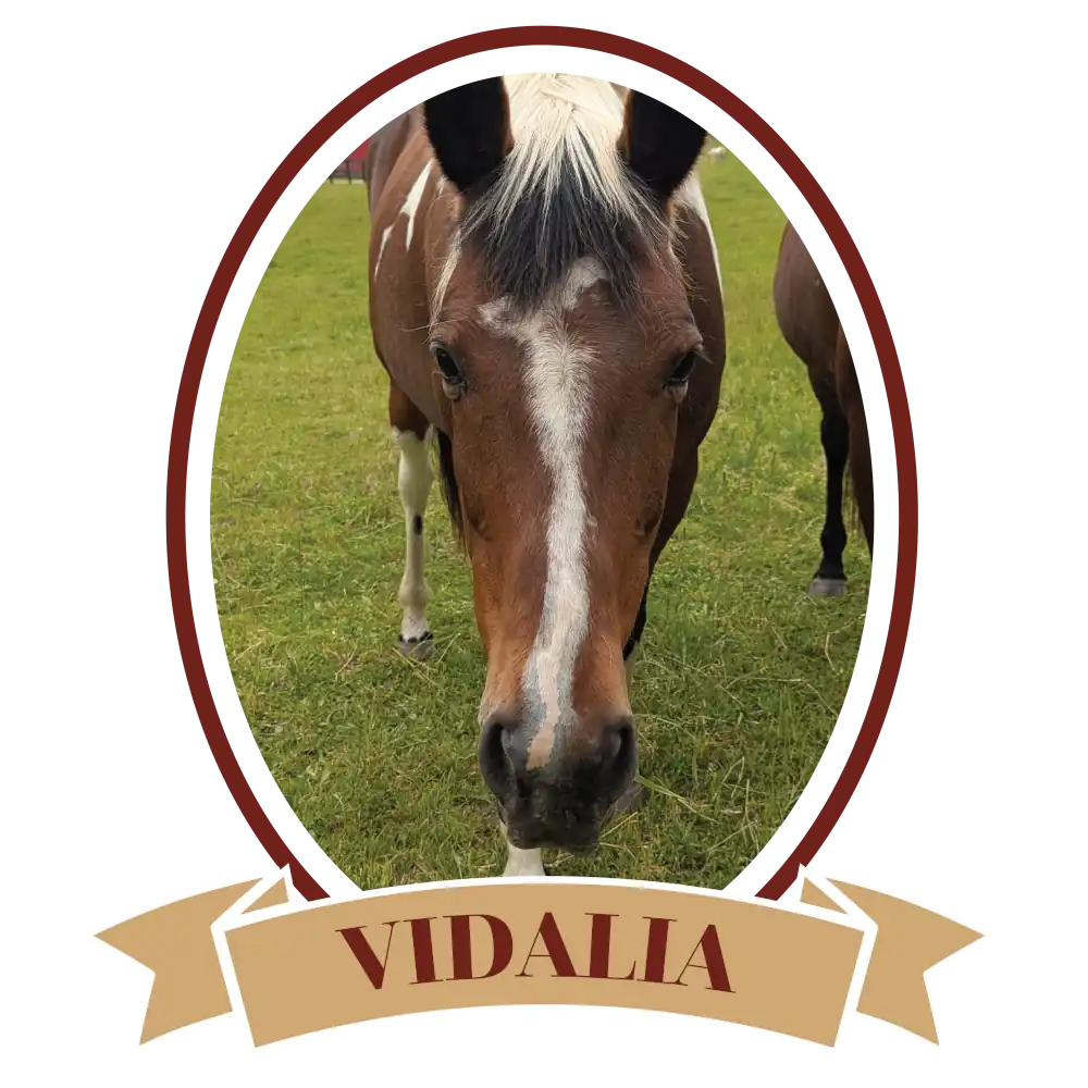 VidaliaPlain-01