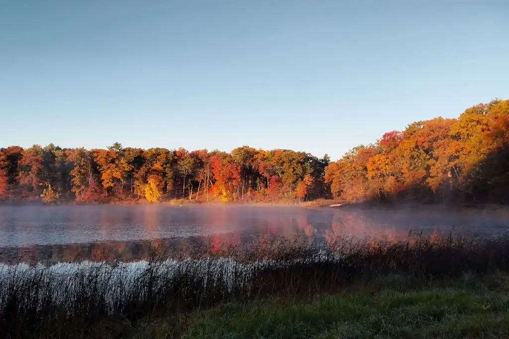 Gerber Scout Reservation waterfront in the fall