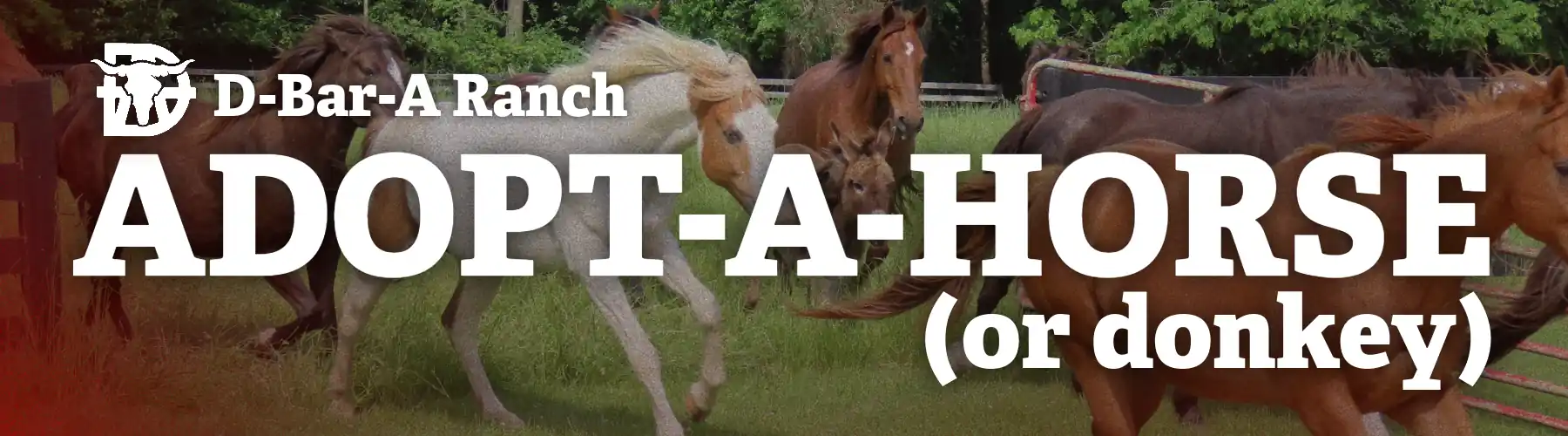 AdoptAHorse