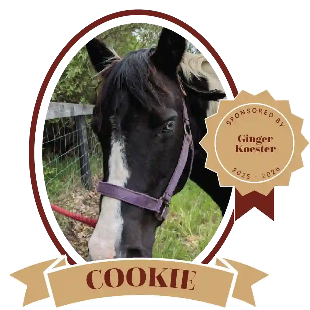 Cookie-20252026