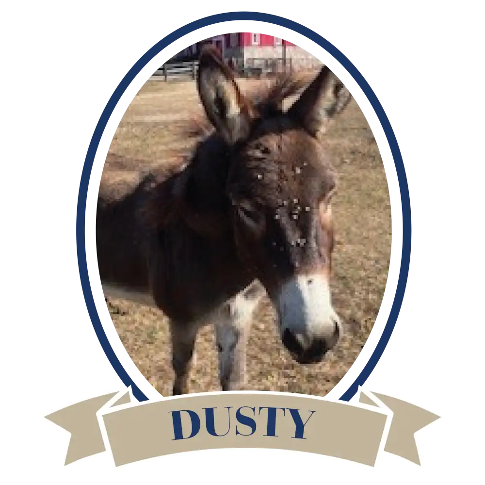 DonkeyDusty-02