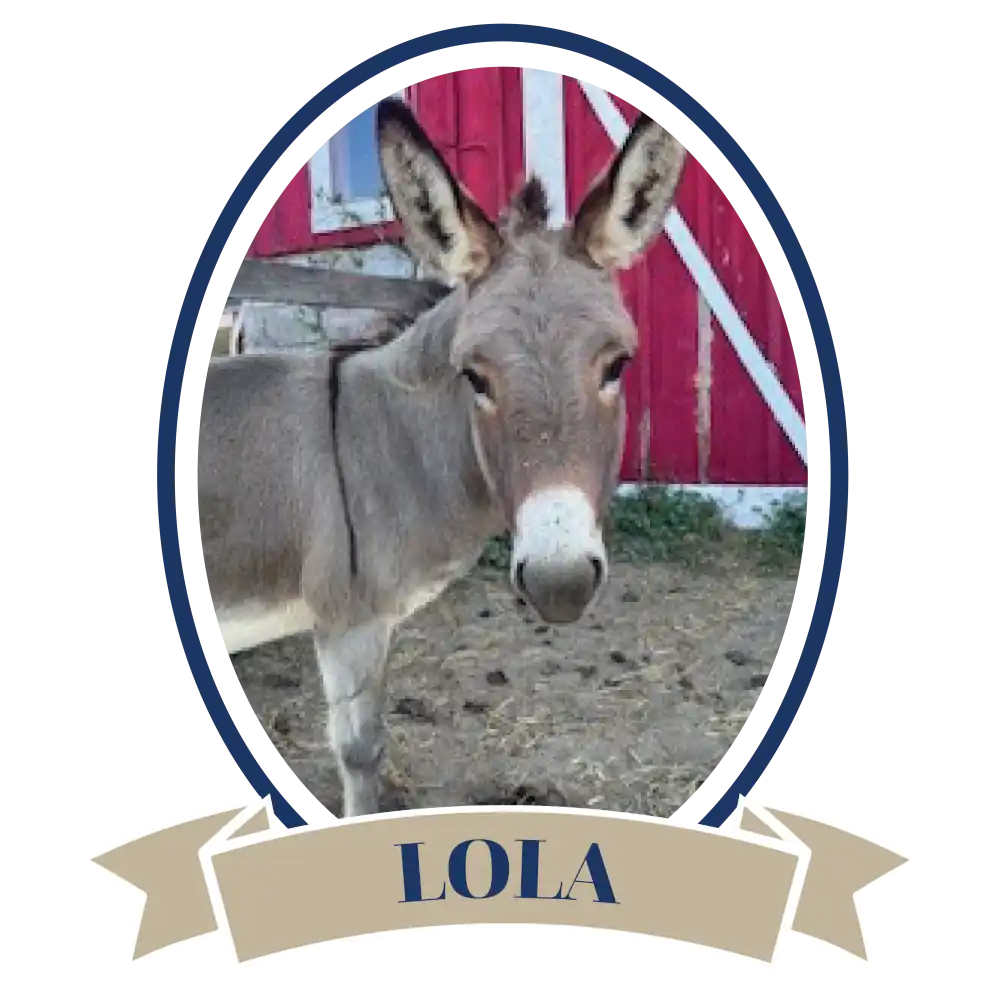 DonkeyLola-02