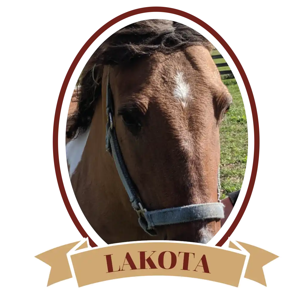 Lakota-01