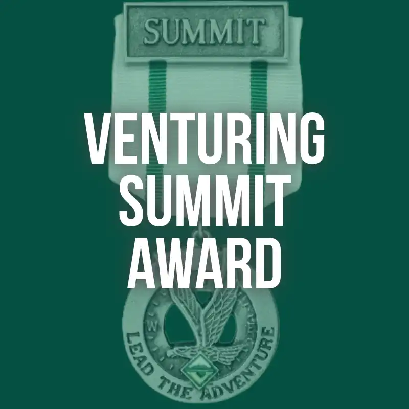 venturingSummit